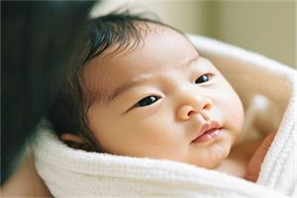 嵇姓清新脱俗的名字,适合男孩的100分好名