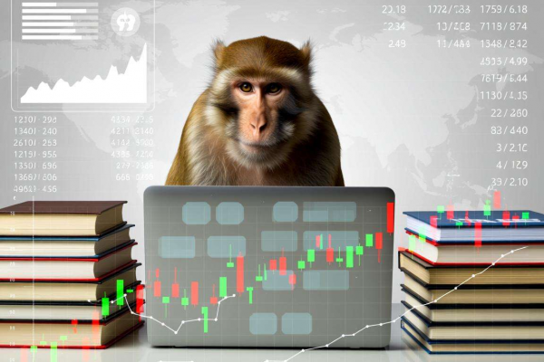 属猴2026：简行务实，靠信息差赚第一桶金