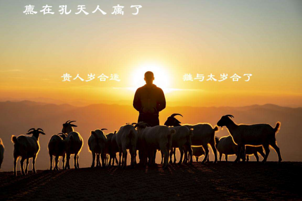 属羊人2026梦见羊，六合太岁，贵人运爆棚